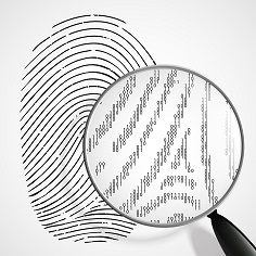fingerprint hardware not available pixel 3 xl